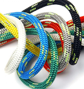 bw_cat_3063_7_resume