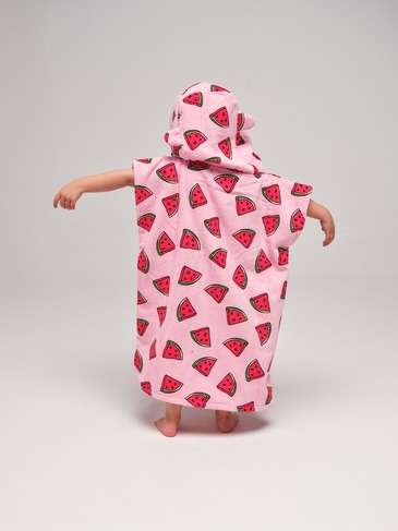 AI-PBCREWS25-WATERMELON
