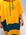 AI-PVCREWS25-GOLD-GREEN