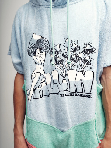 AI-PVCREWS25-MUSHROOM