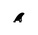 LFACC-SURFFINC-LF2185699-3