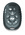 MK901709