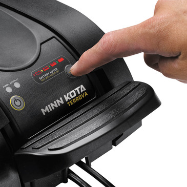 MK901719