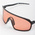 OF-RAMS-XS020225