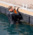 Rettungsleiter für Pontons – Magic Reboard Ponton