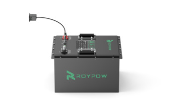 ROY-W24230L
